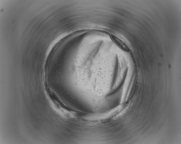 X0000061761136200512231544