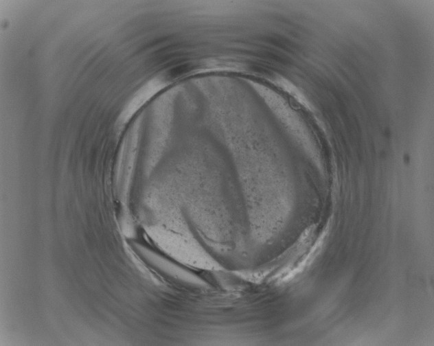 X0000061761137200512231544