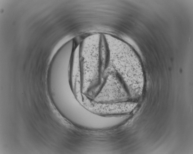 X0000061761138200512231544