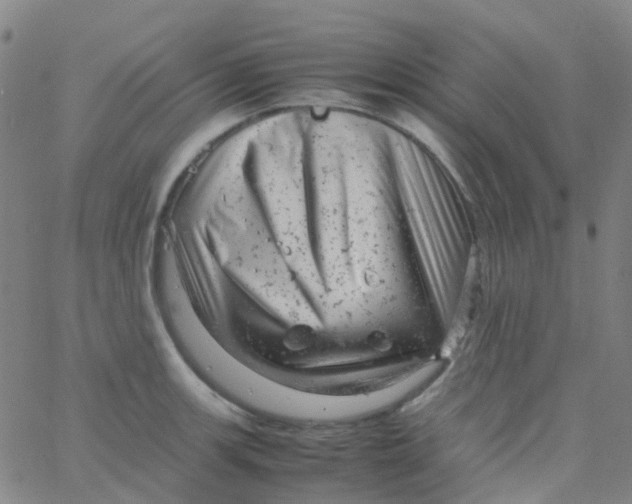 X0000061761139200512231544