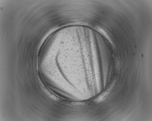 X0000061761140200512231544