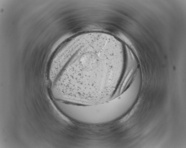 X0000061761141200512231544