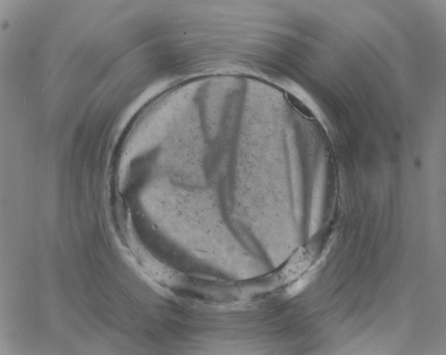 X0000061761142200512231544