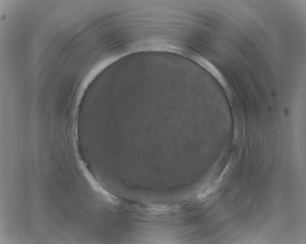 X0000061761144200512231544