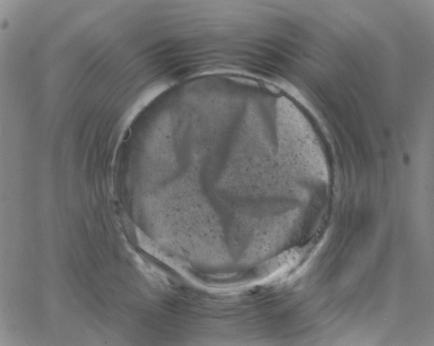 X0000061761145200512231544