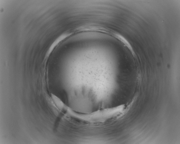 X0000061761146200512231544