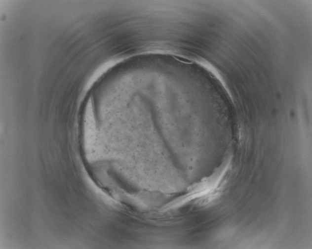 X0000061761147200512231544