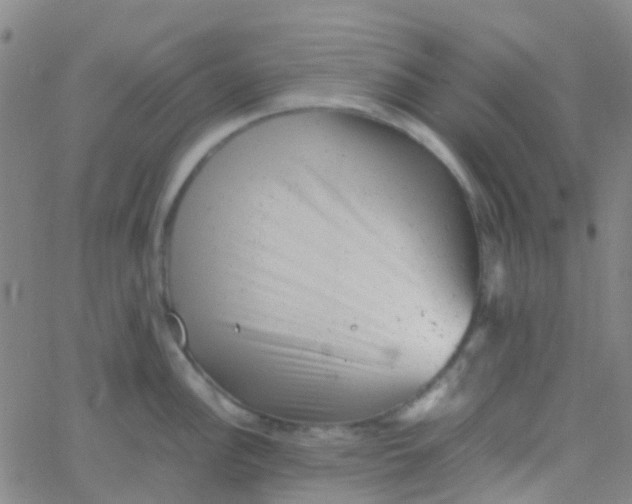 X0000061761148200512231544