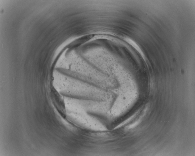 X0000061761149200512231544