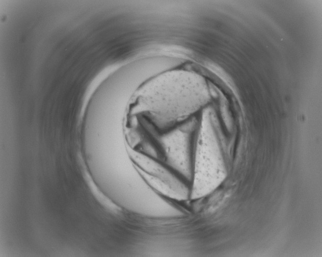 X0000061761152200512231544