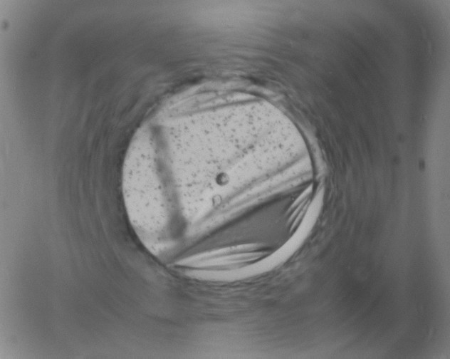 X0000061761153200512231544