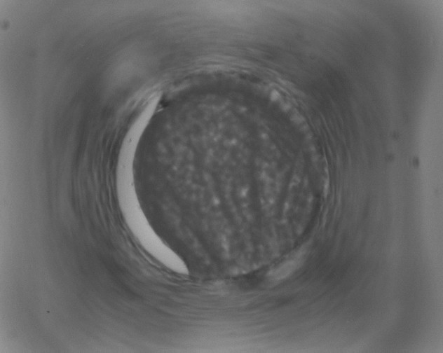 X0000061761155200512231543