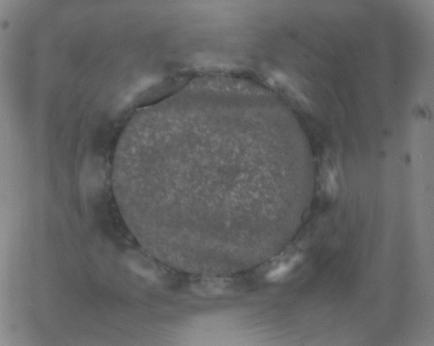 X0000061761157200512231543