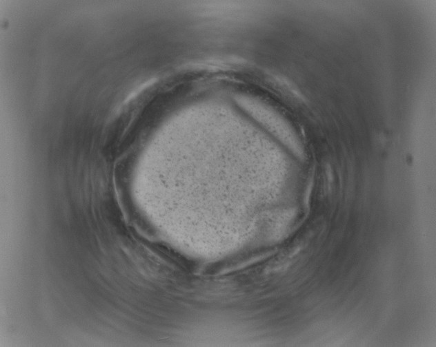 X0000061761158200512231543