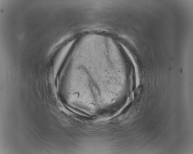 X0000061761159200512231543