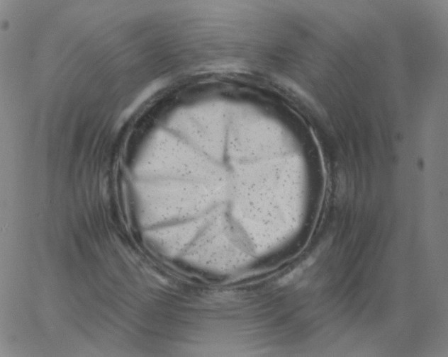 X0000061761162200512231543