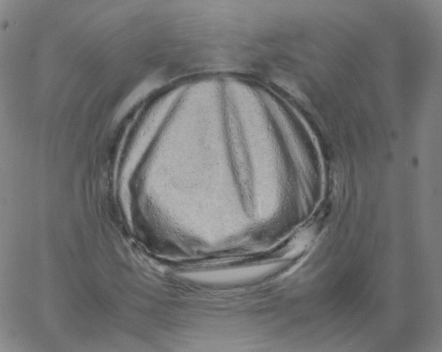 X0000061761163200512231543