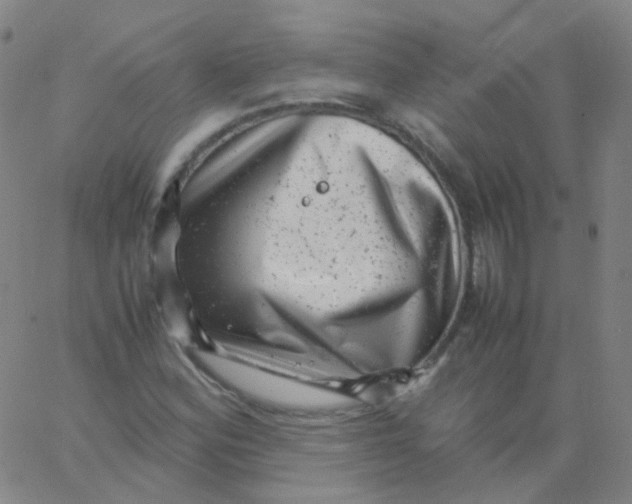 X0000061761164200512231543