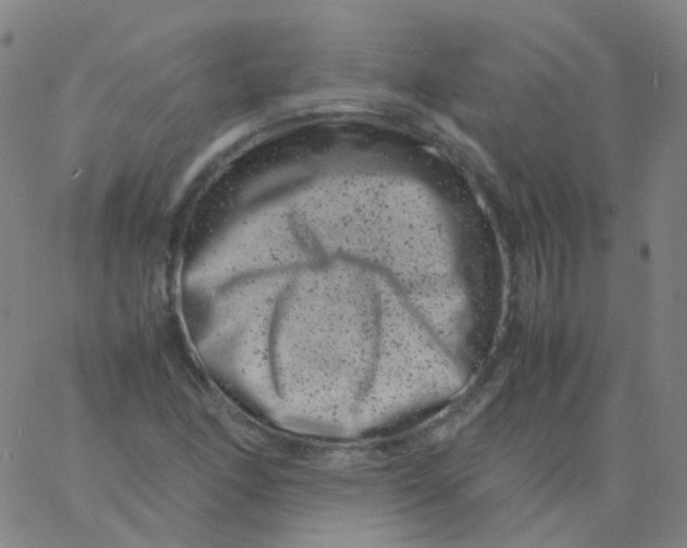 X0000061761166200512231543