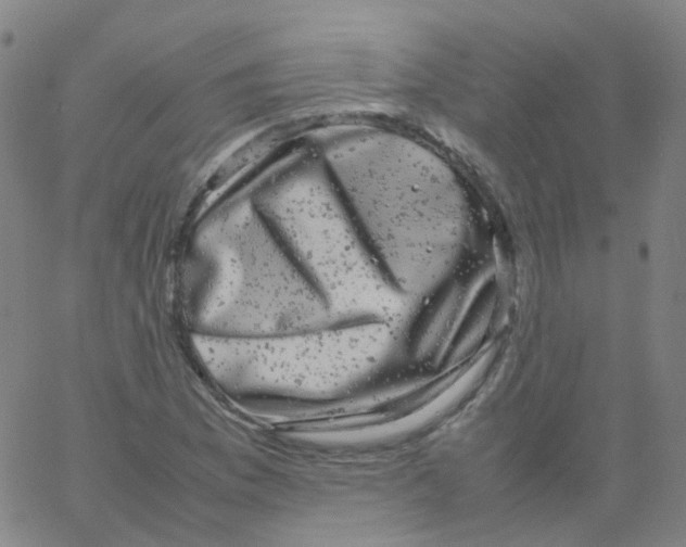 X0000061761169200512231543