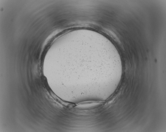 X0000061761172200512231543