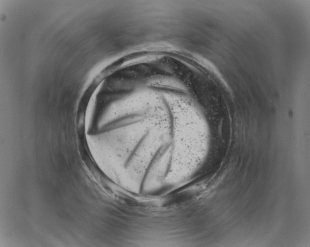 X0000061761176200512231543