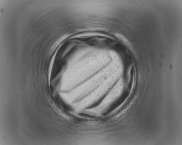 X0000061761177200512231543