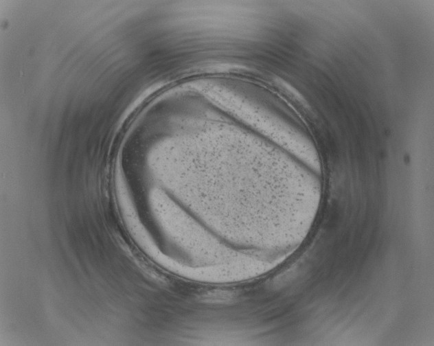 X0000061761178200512231543