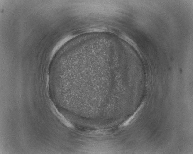 X0000061761179200512231543