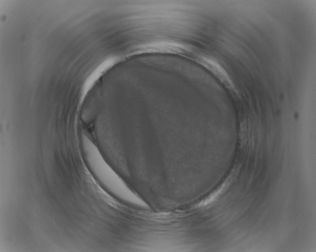 X0000061761180200512231543