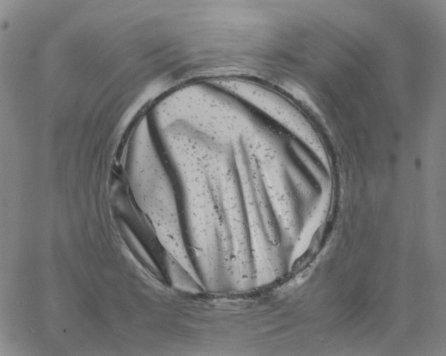 X0000061761181200512231543