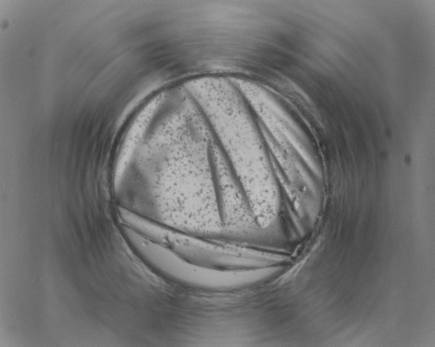 X0000061761182200512231543