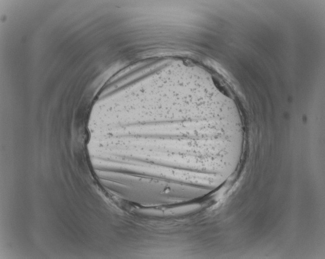 X0000061761185200512231543