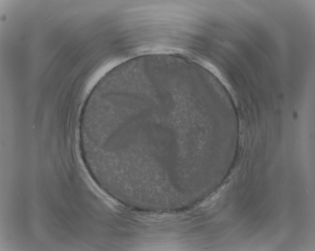 X0000061761187200512231543