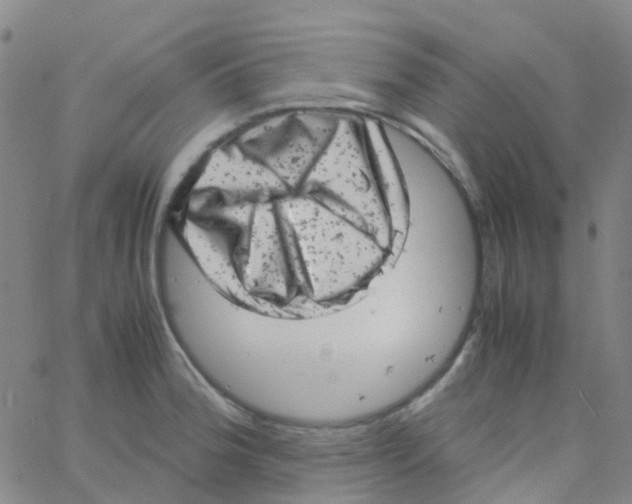 X0000061761188200512231543