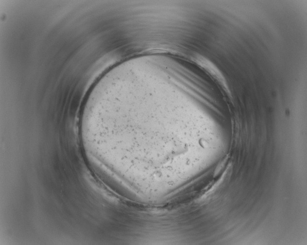 X0000061761190200512231543