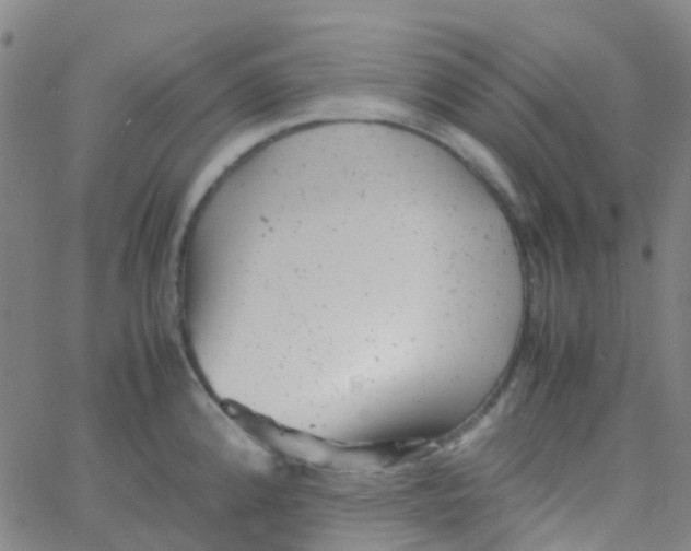 X0000061761192200512231543