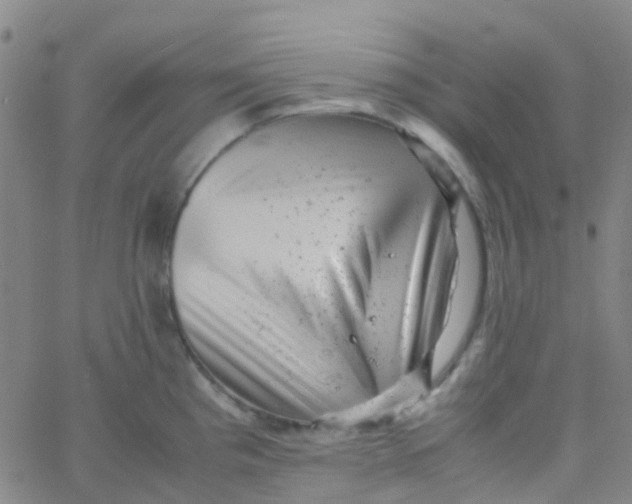 X0000061761193200512231543