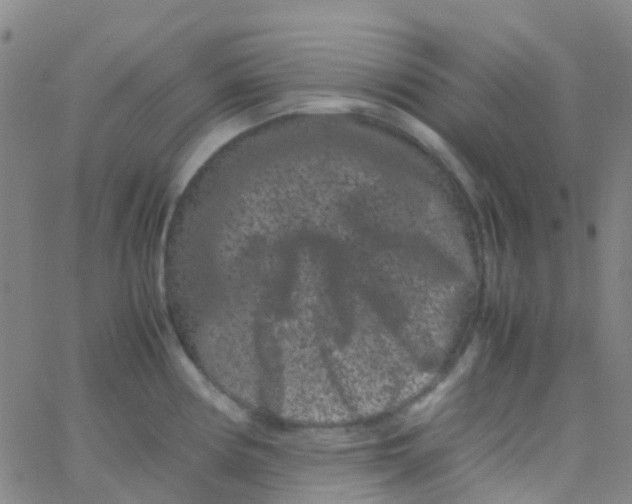 X0000061761194200512231543