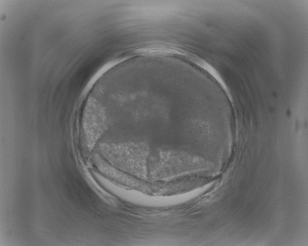 X0000061761195200512231543