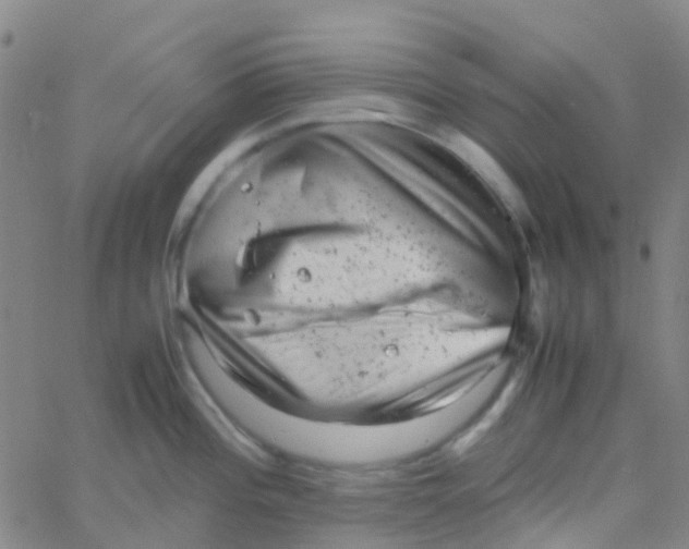 X0000061761196200512231543