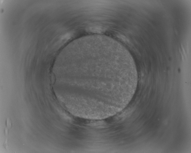 X0000061761201200512231542