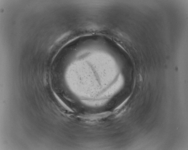 X0000061761205200512231542