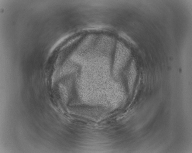 X0000061761208200512231542