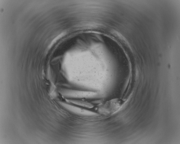 X0000061761210200512231542