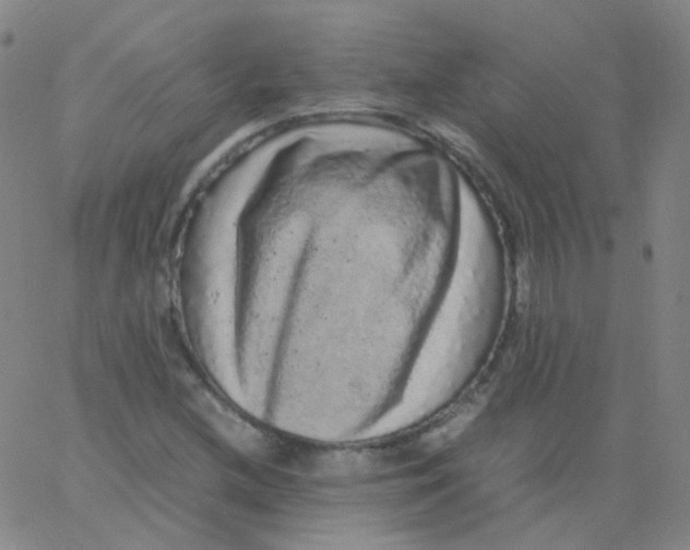 X0000061761212200512231542