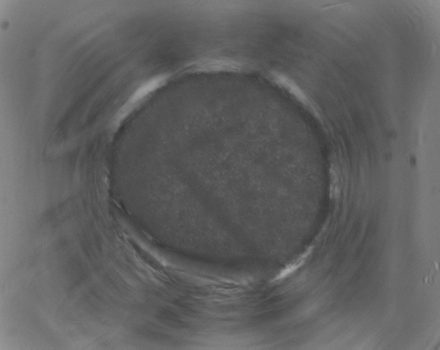 X0000061761213200512231542