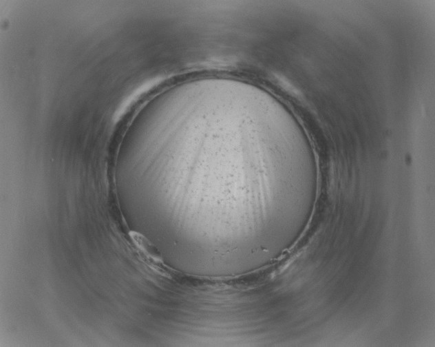 X0000061761214200512231542