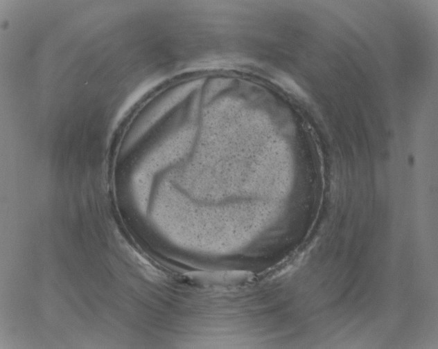 X0000061761216200512231542