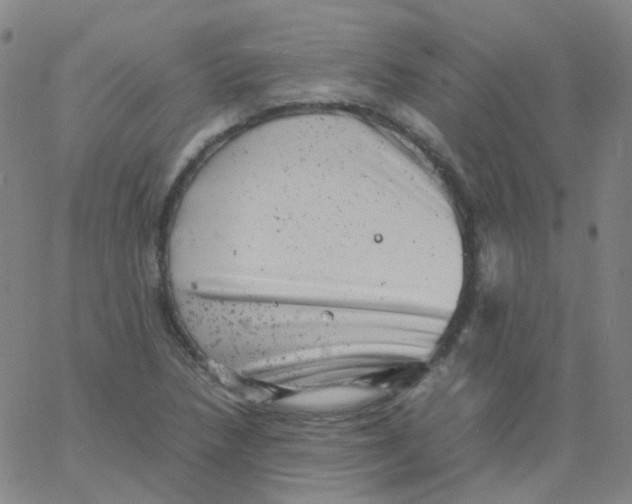 X0000061761218200512231542